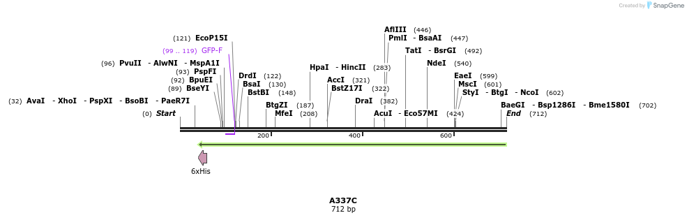 30357_map
