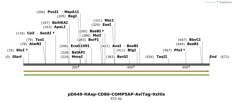 303572_map