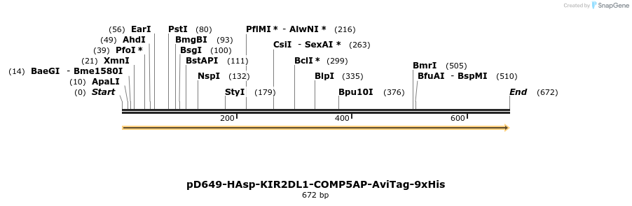 303574_map