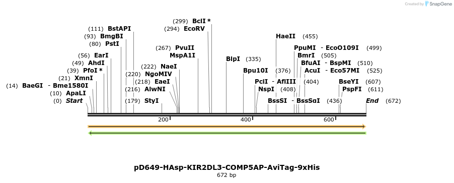 303578_map