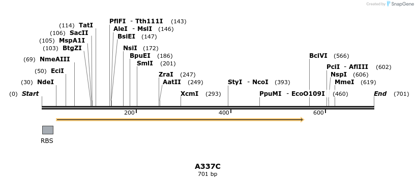 30358_map