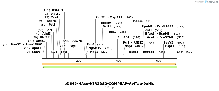 303580_map