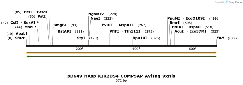 303582_map