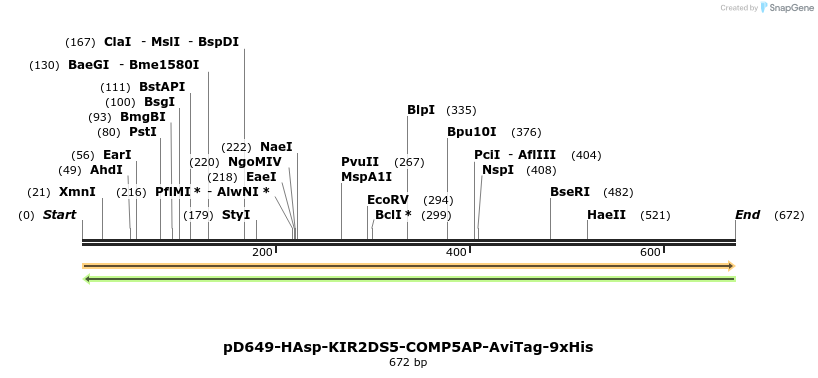 303586_map