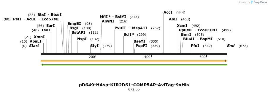303588_map