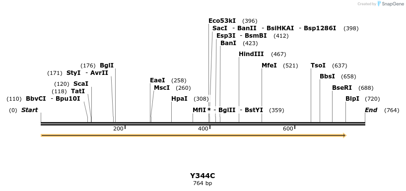 30359_map
