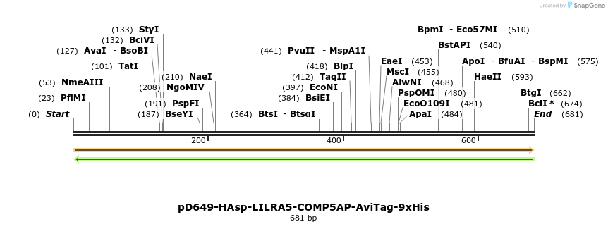 303592_map