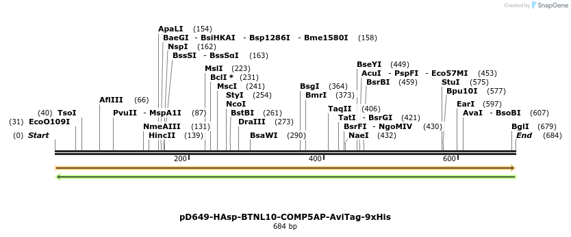 303594_map