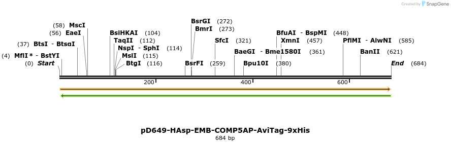303598_map