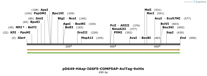 303602_map