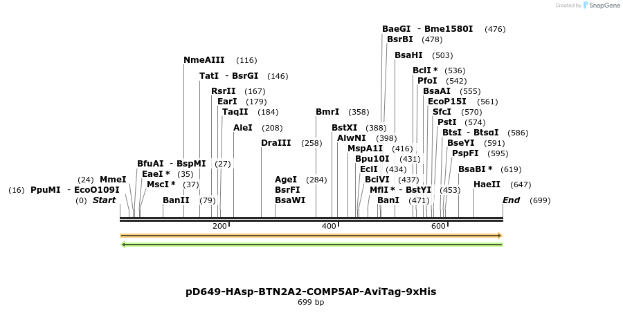 303604_map