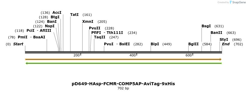 303606_map