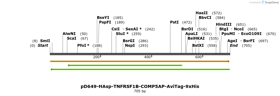 303610_map