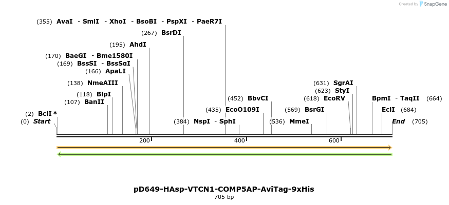 303612_map