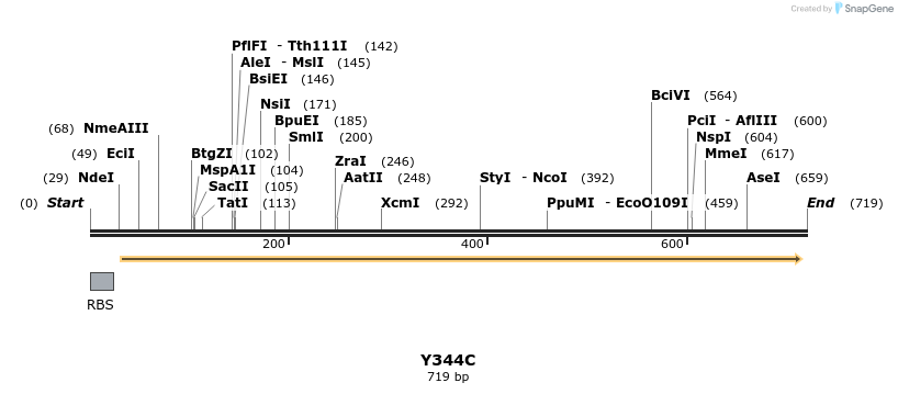 30362_map