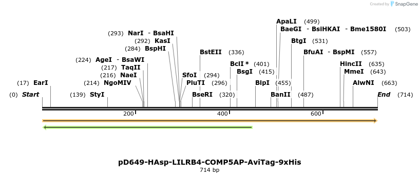 303622_map