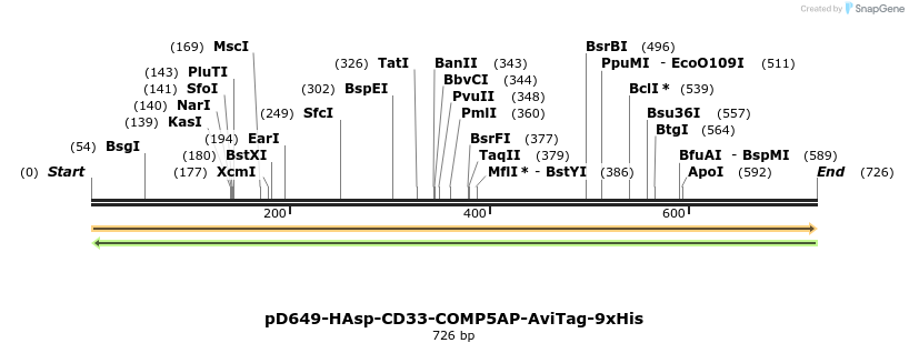 303626_map