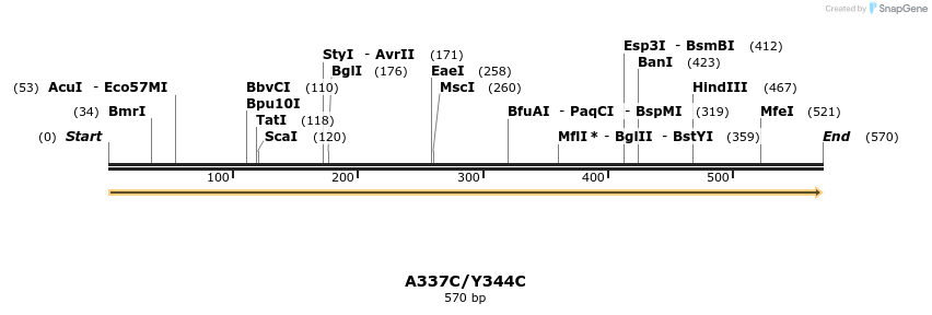 30363_map