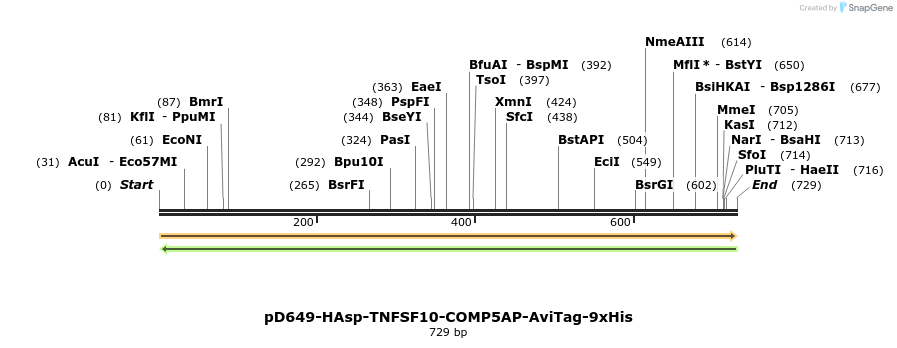 303632_map
