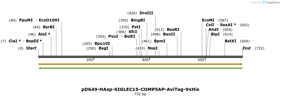 303634_map
