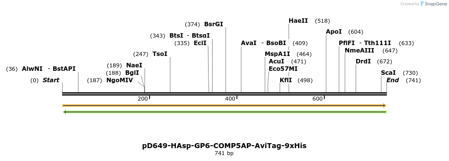 303636_map