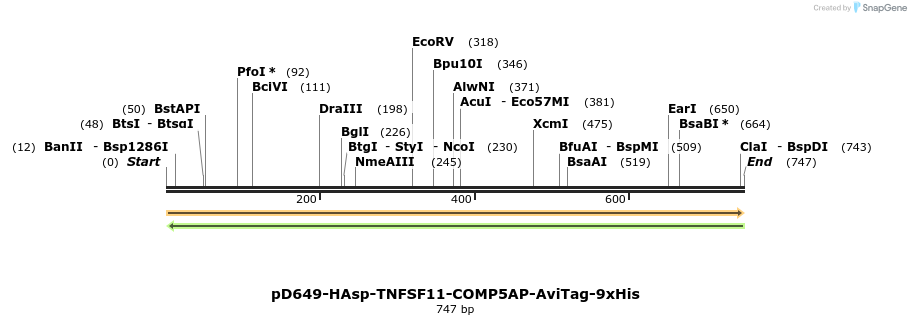 303638_map