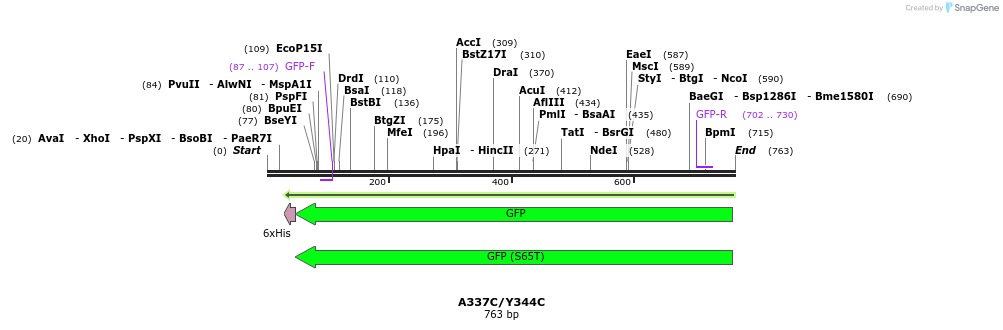 30364_map