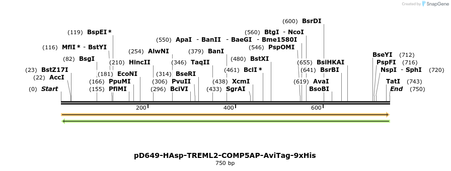 303640_map