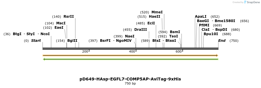 303642_map
