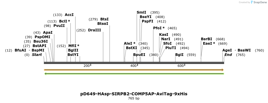 303648_map