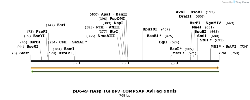 303650_map