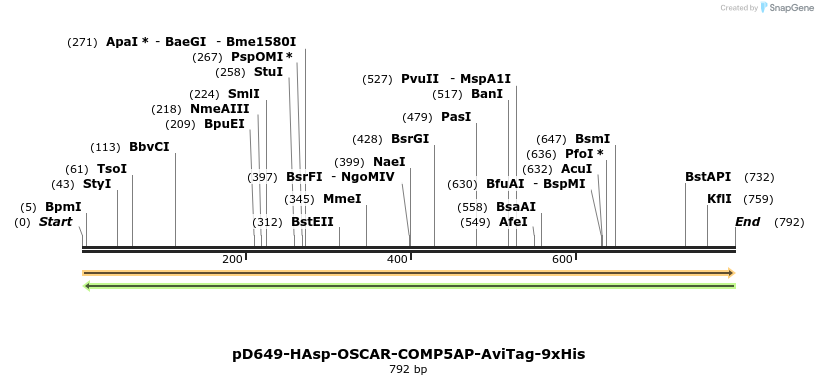 303654_map