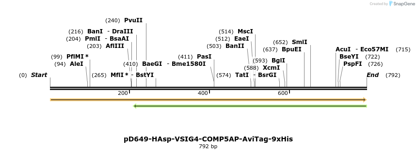303656_map