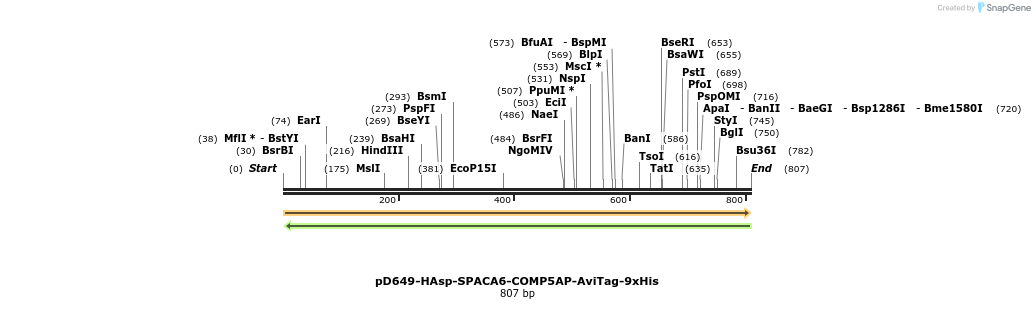 303658_map