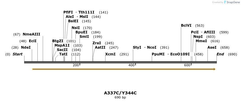 30366_map
