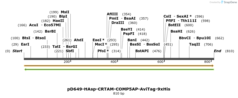 303660_map