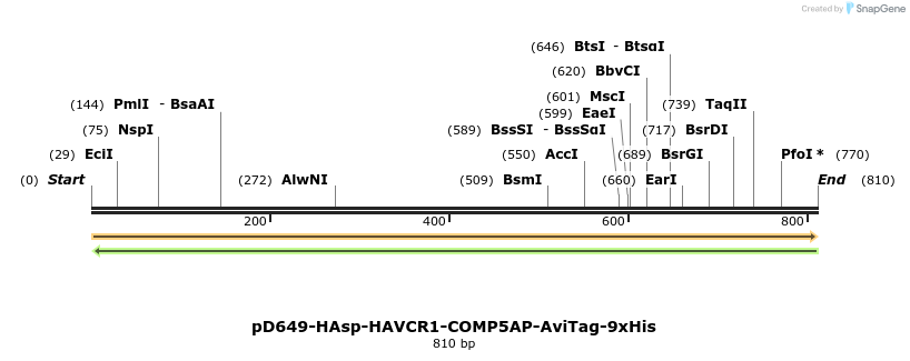 303662_map