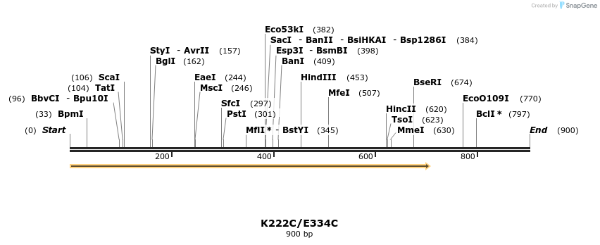 30367_map