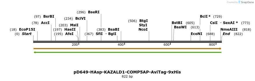 303672_map
