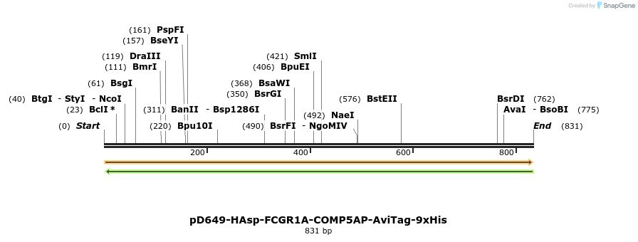 303674_map