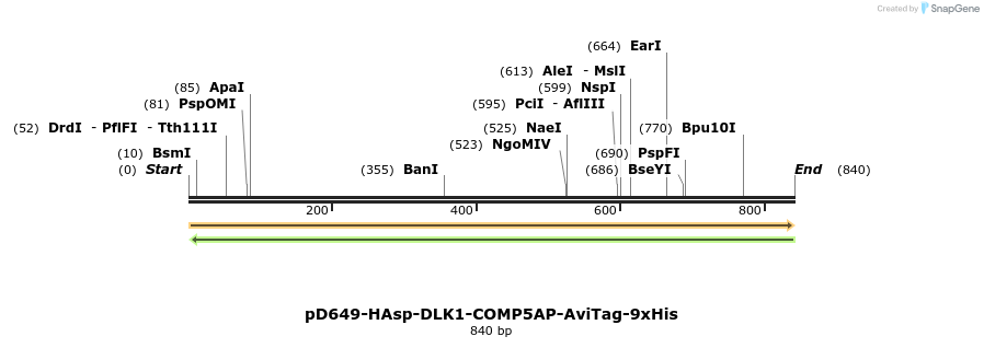 303678_map