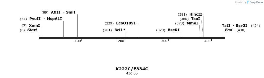 30368_map
