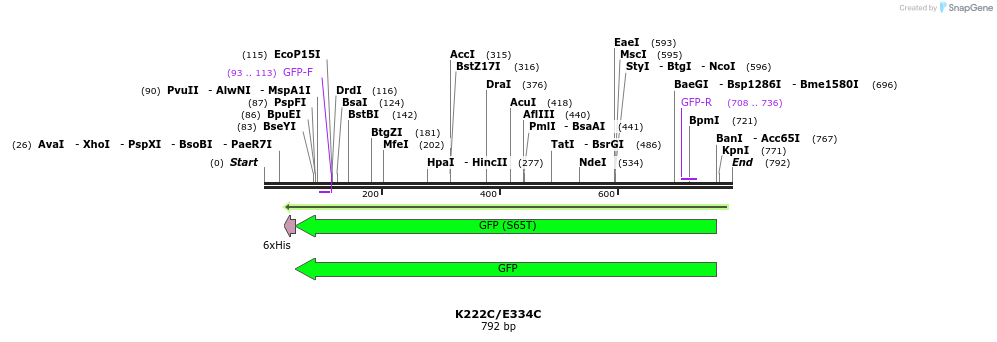 30369_map