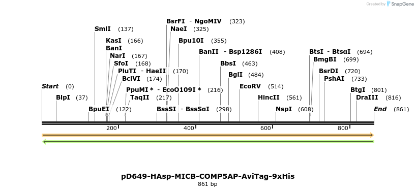 303692_map