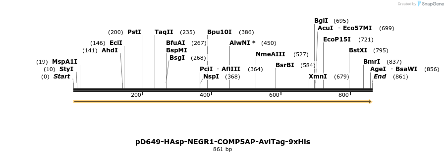 303694_map