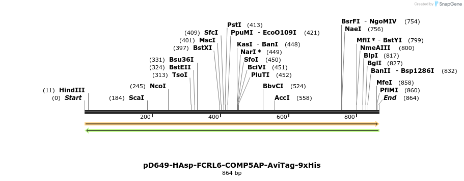 303696_map
