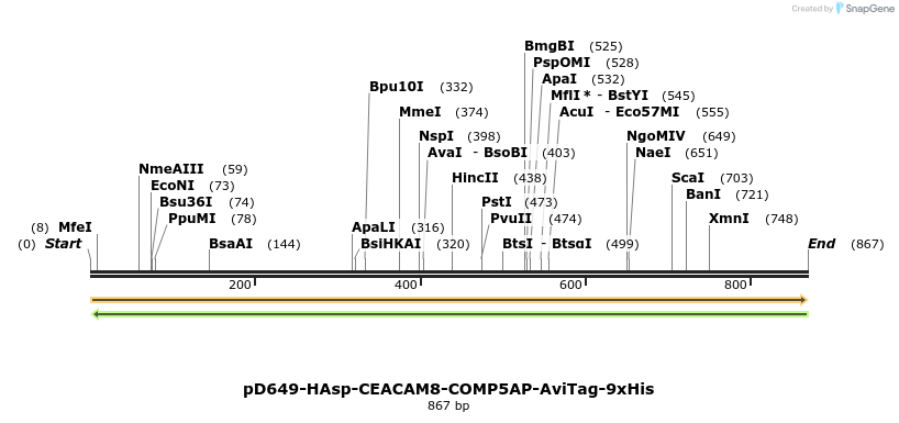 303698_map