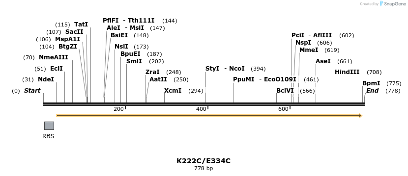 30370_map