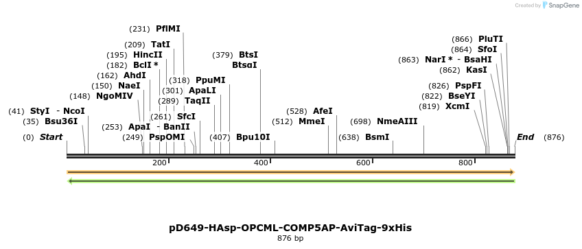 303704_map