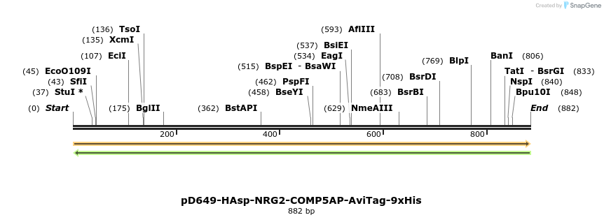 303706_map